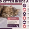symptoms of dead kitten inside cat