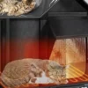 heated cat house