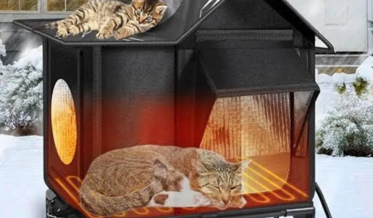heated cat house