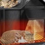 heated cat house